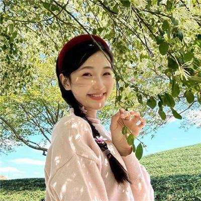 容易受伤的玫瑰